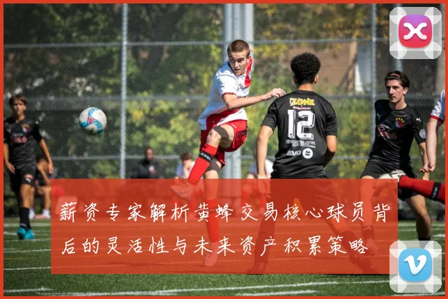 薪资专家解析黄蜂交易核心球员背后的灵活性与未来资产积累策略