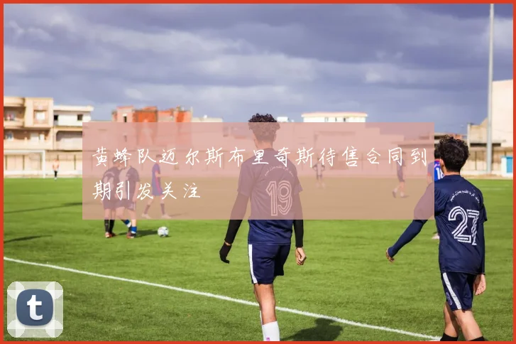 黄蜂队迈尔斯布里奇斯待售合同到期引发关注