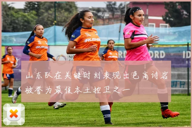 山东队在关键时刻表现出色高诗岩被誉为最佳本土控卫之一